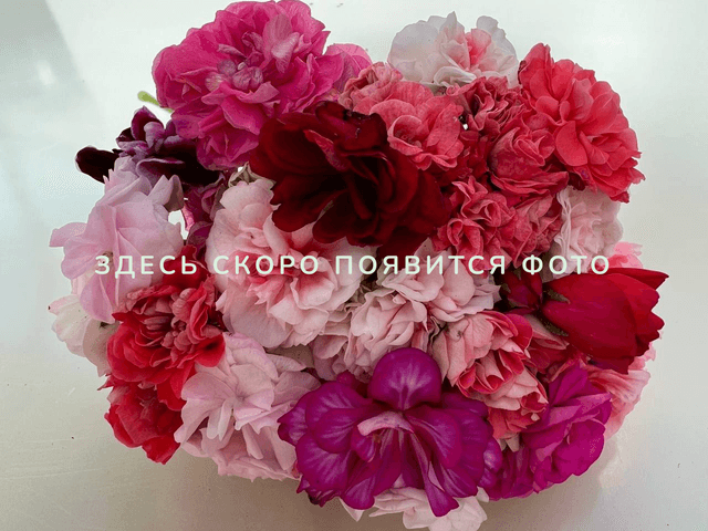 Эрик Созвездие Близнецов