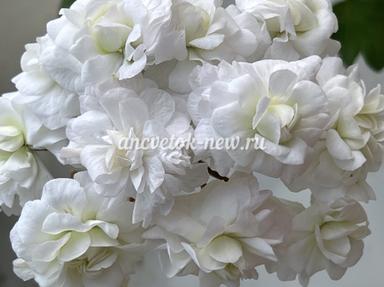 42c2bb63-2960-459d-b6e7-6cd2dc179479.jpg