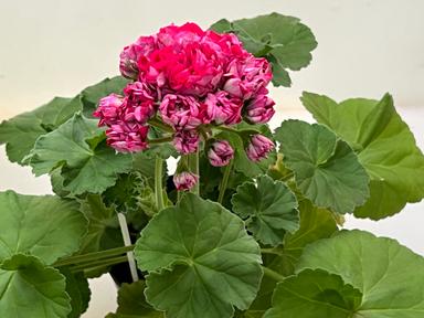 526e7f2a-0117-42ae-83e5-2b7b2dbbba04.jpg