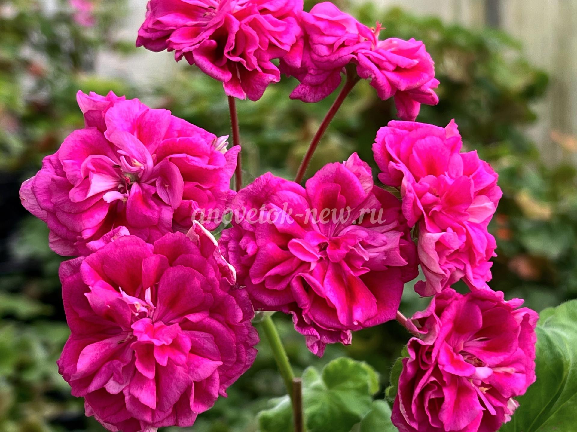 5bf5d997-67d1-49cb-ba75-b2ddf23e4a23.jpg