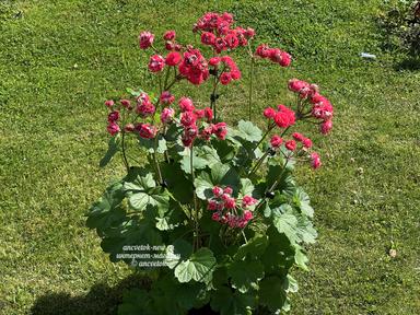 b4164436-a145-4ae3-b457-e389913eee0e.jpeg