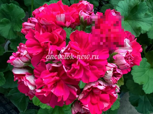 c6bf7f83-8d6b-4242-8b72-1e3cb64c061e.jpg