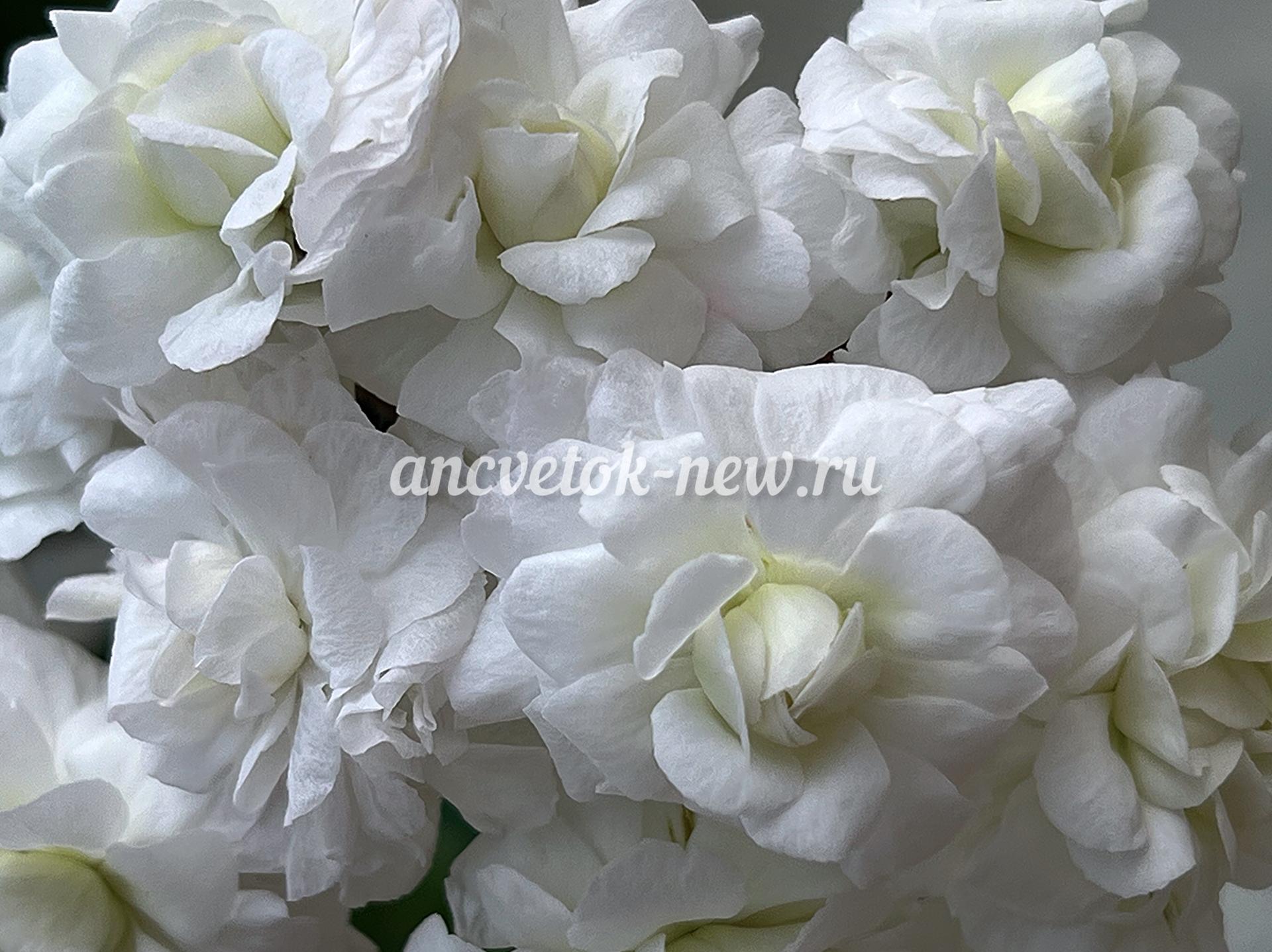 ce56bb64-24a1-4b9c-877a-73ec64c8ac02.jpg