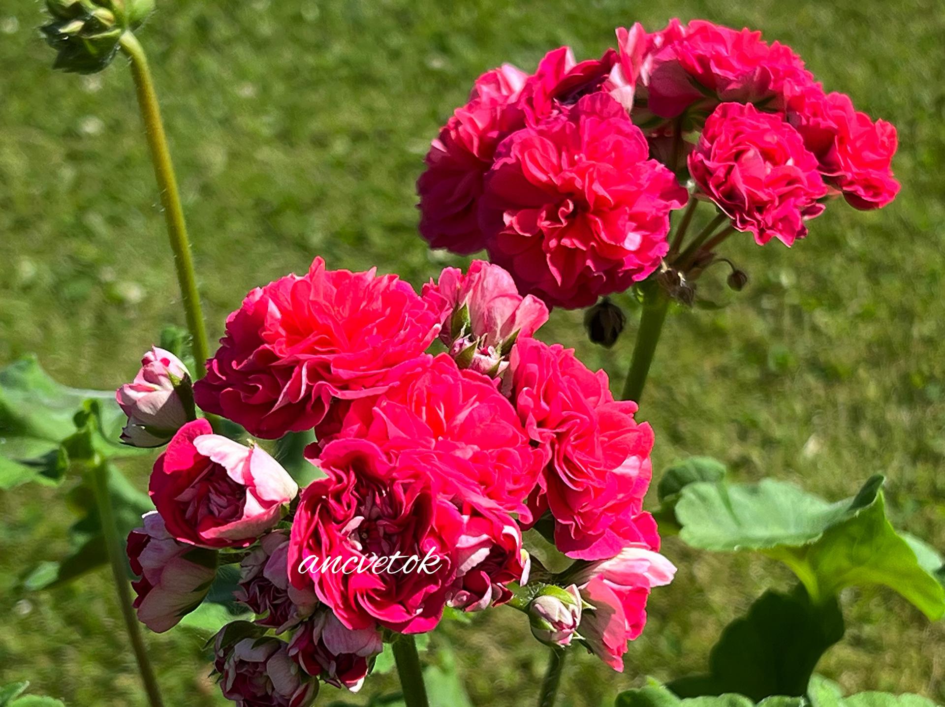 dbd605f8-8b69-4038-8463-93c6bbfa4b80.jpg