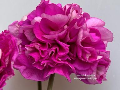 de7353f9-bccf-4f71-847c-5c1a2ac4aad8.jpeg