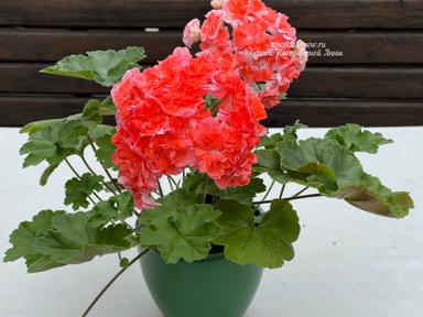 e634aae6-7c06-423a-8c81-e1c15986207d.jpeg